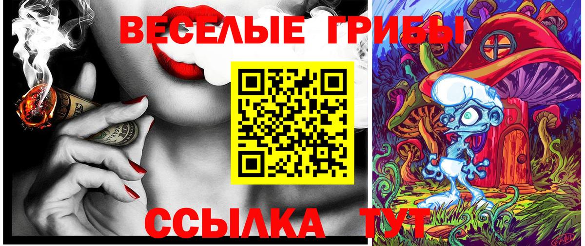 Галлюциногенные грибы прущие грибы Клин