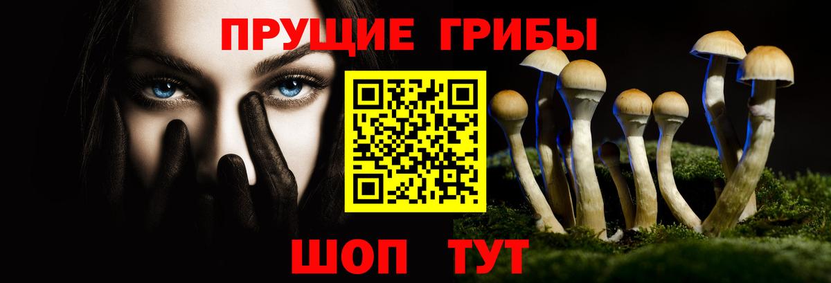 Клин  Галлюциногенные грибы прущие грибы  купить наркотики сайты  Вход с VPN  Галлюциногенные грибы GOLDEN TEACHER 